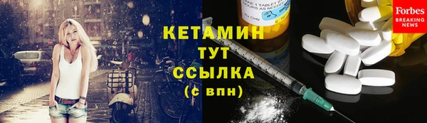 соль ск Новозыбков