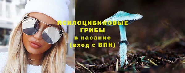 винт Новокубанск