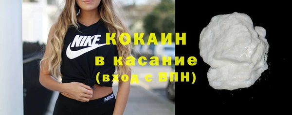 соль ск Новозыбков