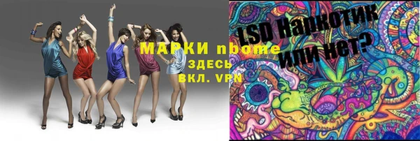 соль ск Новозыбков