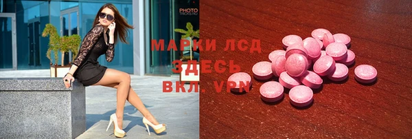 соль ск Новозыбков