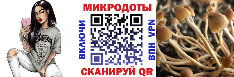 ОМГ ОМГ зеркало  Шумерля  Псилоцибиновые грибы Magic Shrooms 