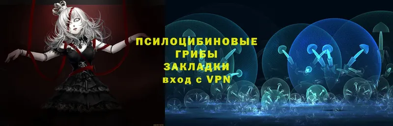 Галлюциногенные грибы Psilocybine cubensis  где купить наркоту  Шумерля 