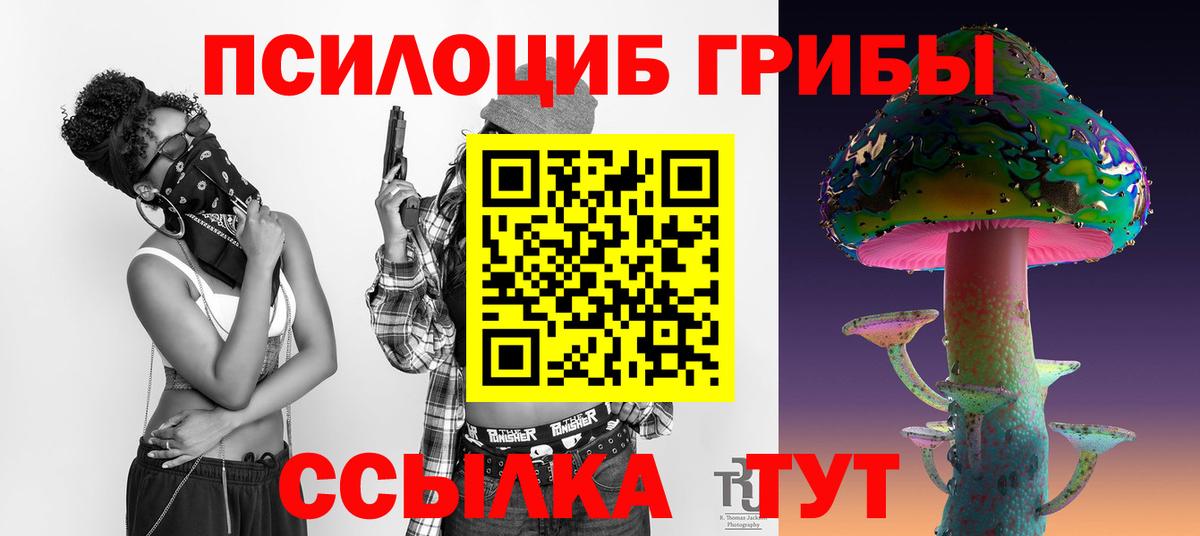 Псилоцибиновые грибы Cubensis  Шумерля 