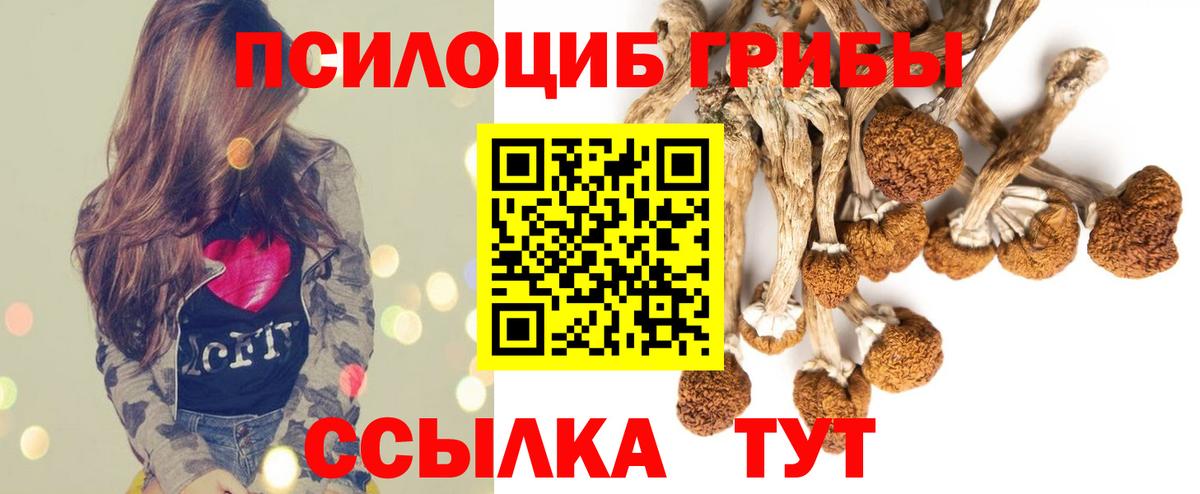 Галлюциногенные грибы мицелий Шумерля