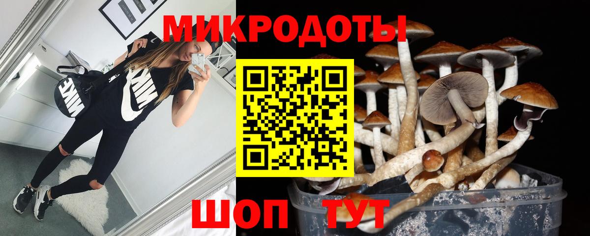 Псилоцибиновые грибы MAGIC MUSHROOMS Шумерля