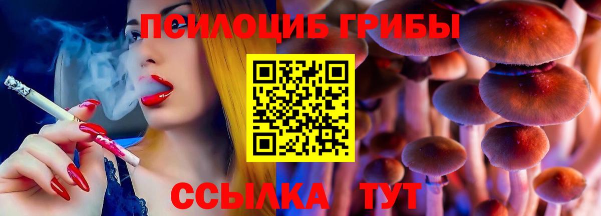 Галлюциногенные грибы Psilocybe  Галлюциногенные грибы прущие грибы  Шумерля  Вход с VPN 